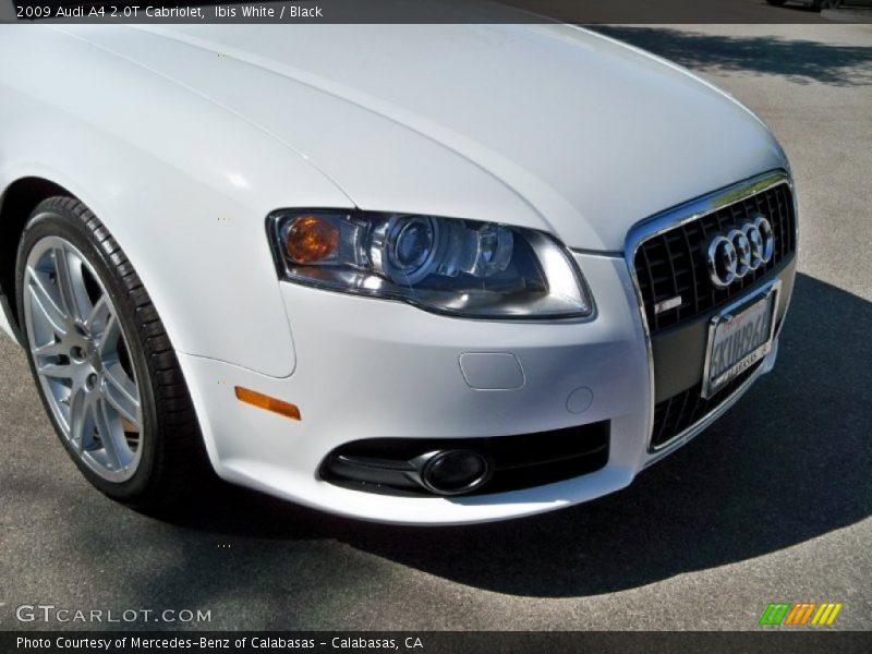 Ibis White / Black 2009 Audi A4 2.0T Cabriolet