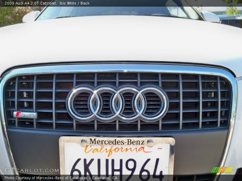 Ibis White / Black 2009 Audi A4 2.0T Cabriolet