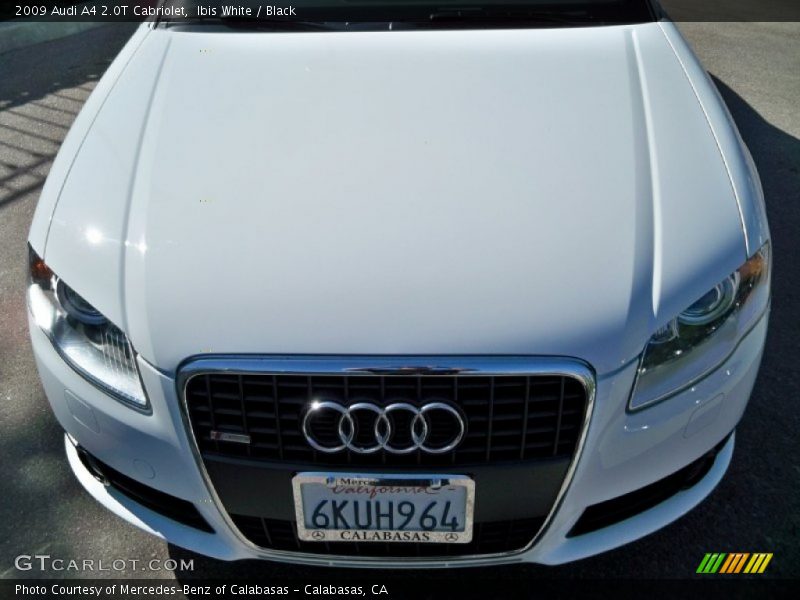 Ibis White / Black 2009 Audi A4 2.0T Cabriolet