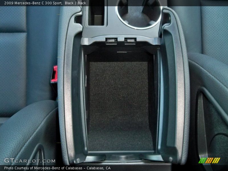 Black / Black 2009 Mercedes-Benz C 300 Sport