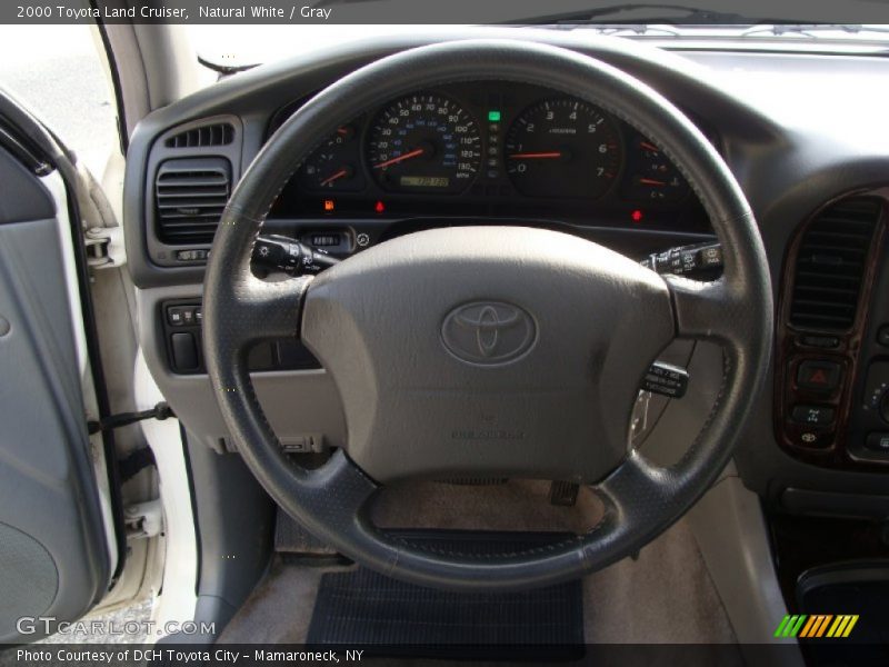 Natural White / Gray 2000 Toyota Land Cruiser