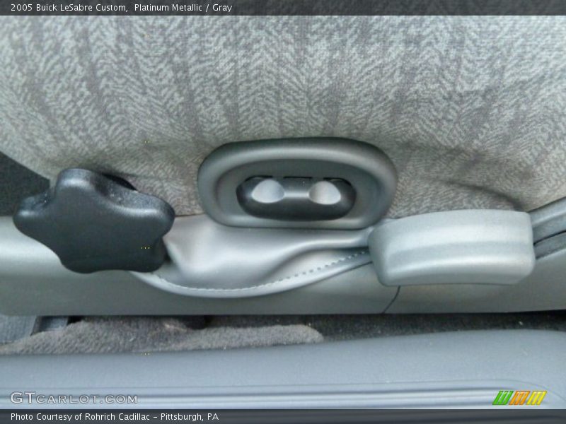 Platinum Metallic / Gray 2005 Buick LeSabre Custom