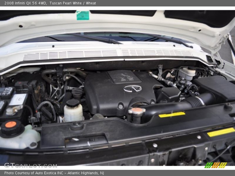 Tuscan Pearl White / Wheat 2008 Infiniti QX 56 4WD