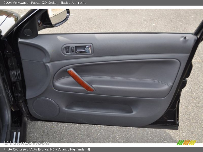 Door Panel of 2004 Passat GLX Sedan