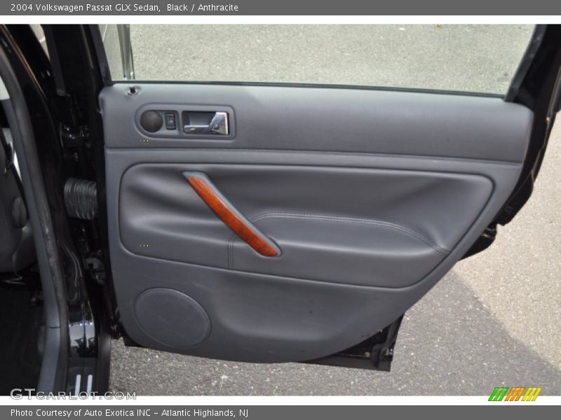 Door Panel of 2004 Passat GLX Sedan