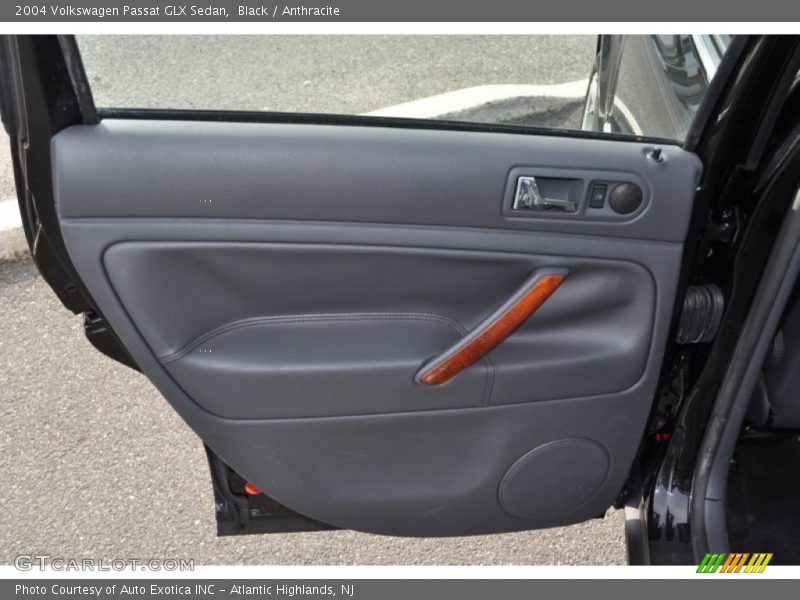 Door Panel of 2004 Passat GLX Sedan