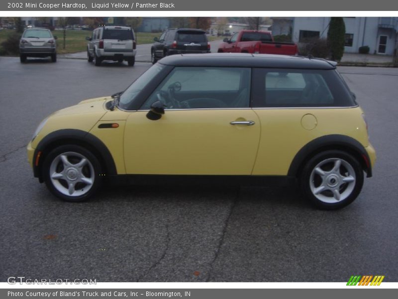 Liquid Yellow / Panther Black 2002 Mini Cooper Hardtop