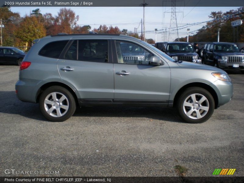 Platinum Sage / Beige 2009 Hyundai Santa Fe SE