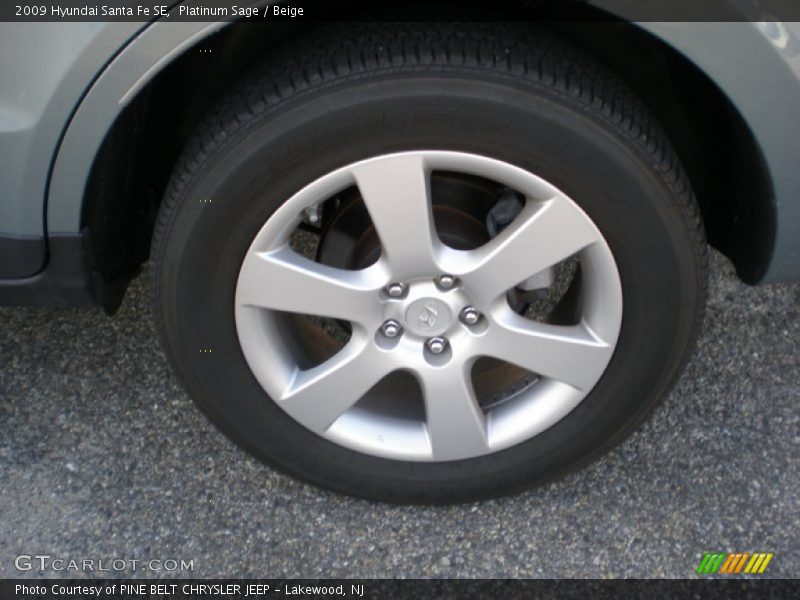 Platinum Sage / Beige 2009 Hyundai Santa Fe SE
