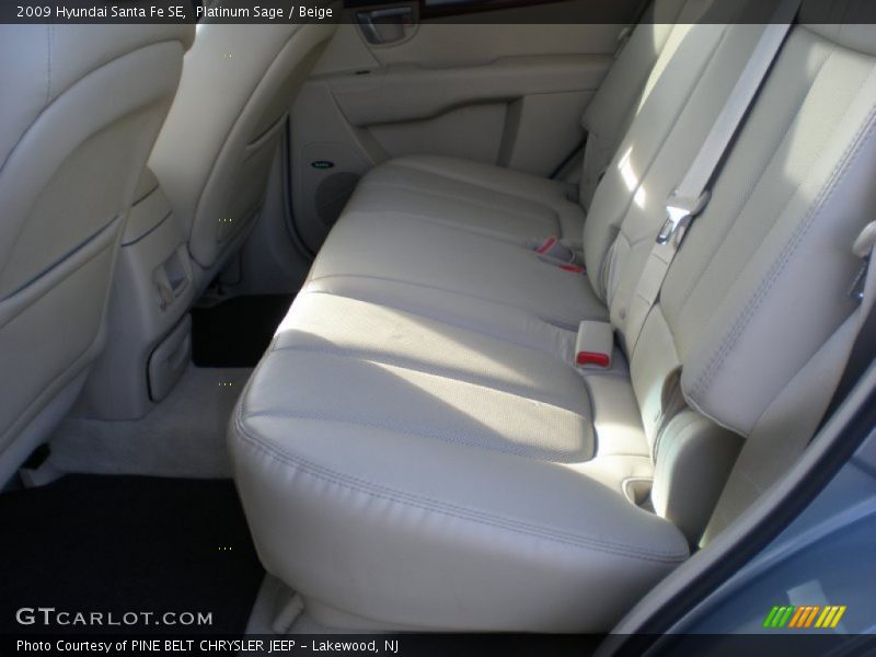 Platinum Sage / Beige 2009 Hyundai Santa Fe SE