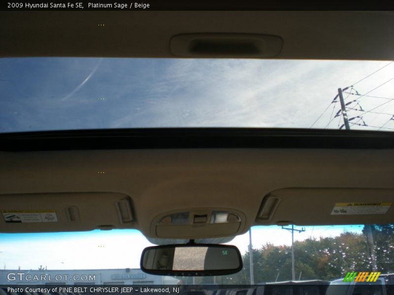 Platinum Sage / Beige 2009 Hyundai Santa Fe SE