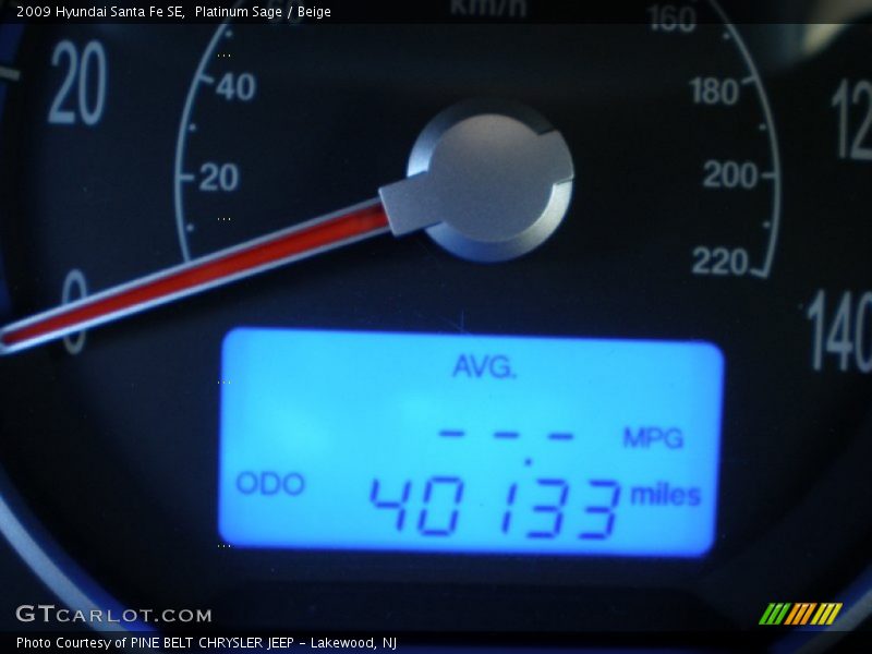 Platinum Sage / Beige 2009 Hyundai Santa Fe SE