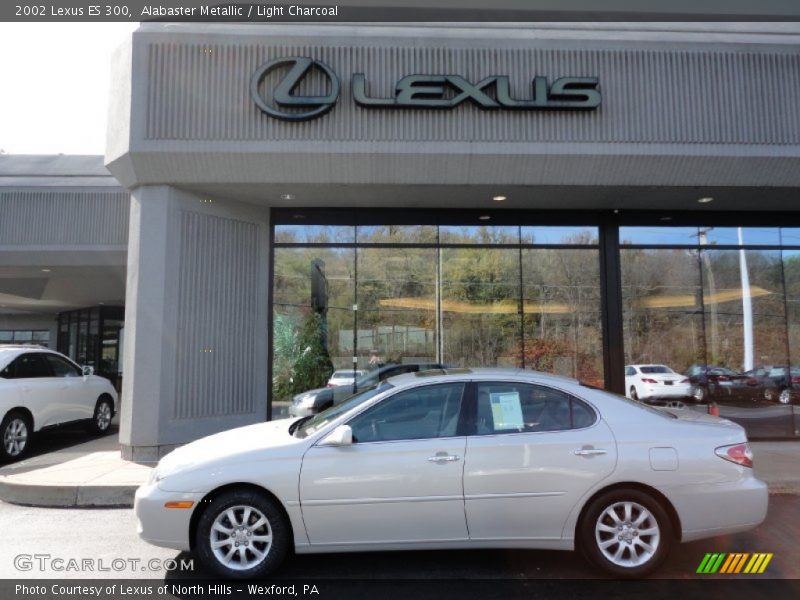Alabaster Metallic / Light Charcoal 2002 Lexus ES 300
