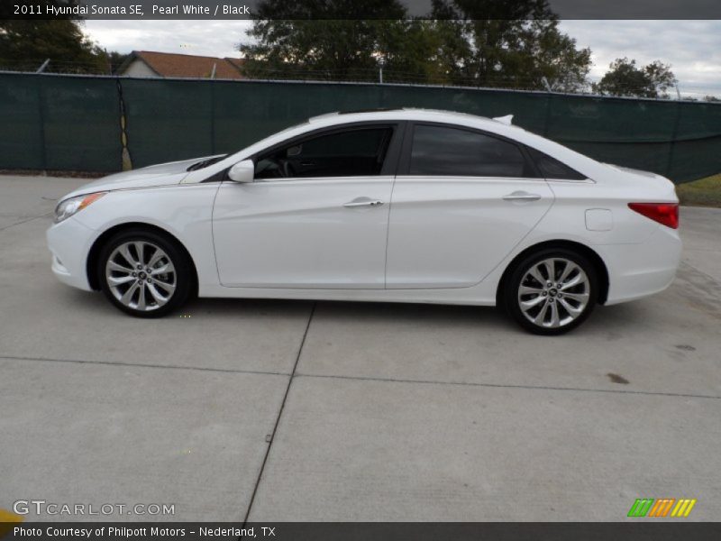 Pearl White / Black 2011 Hyundai Sonata SE