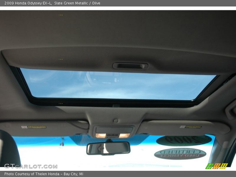 Slate Green Metallic / Olive 2009 Honda Odyssey EX-L