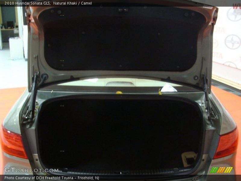 Natural Khaki / Camel 2010 Hyundai Sonata GLS