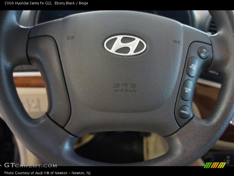 Ebony Black / Beige 2009 Hyundai Santa Fe GLS