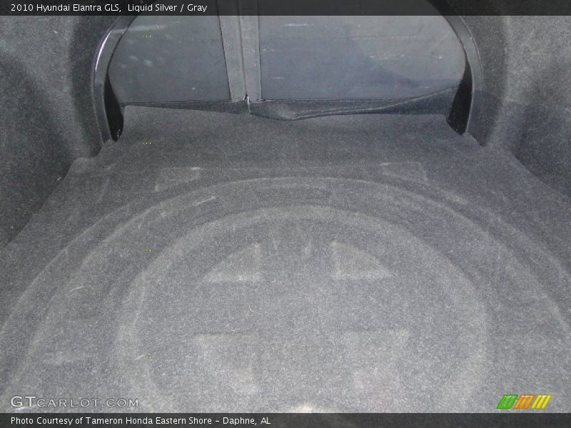 Liquid Silver / Gray 2010 Hyundai Elantra GLS