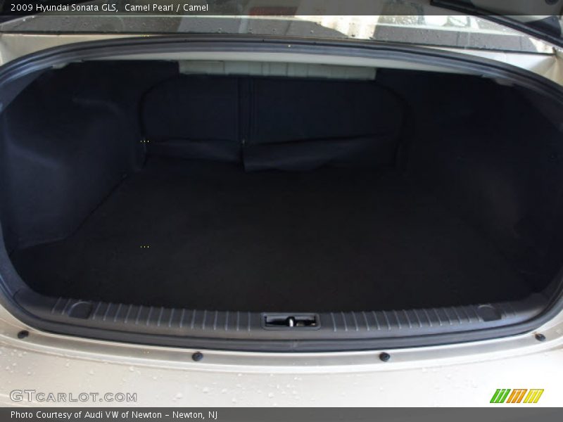 Camel Pearl / Camel 2009 Hyundai Sonata GLS
