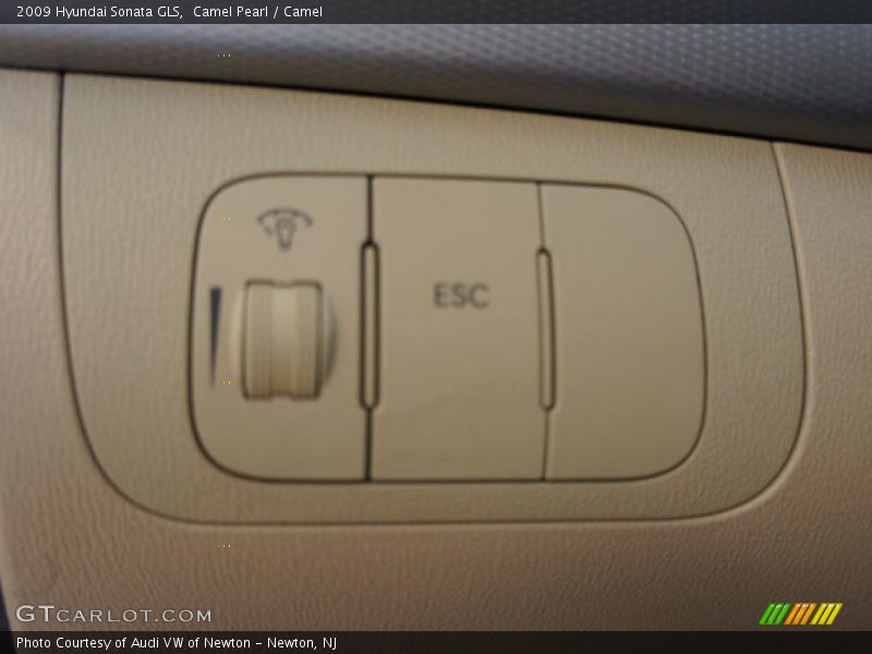 Camel Pearl / Camel 2009 Hyundai Sonata GLS