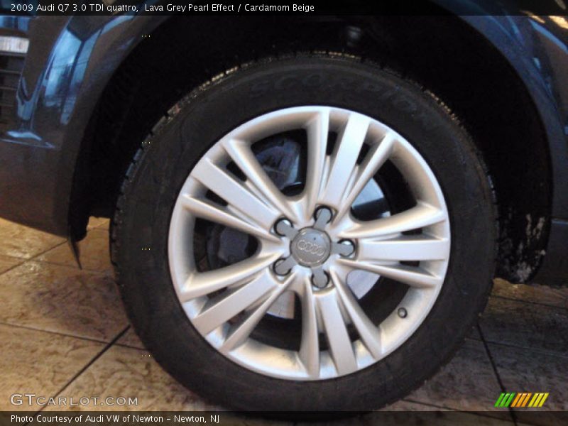 Lava Grey Pearl Effect / Cardamom Beige 2009 Audi Q7 3.0 TDI quattro