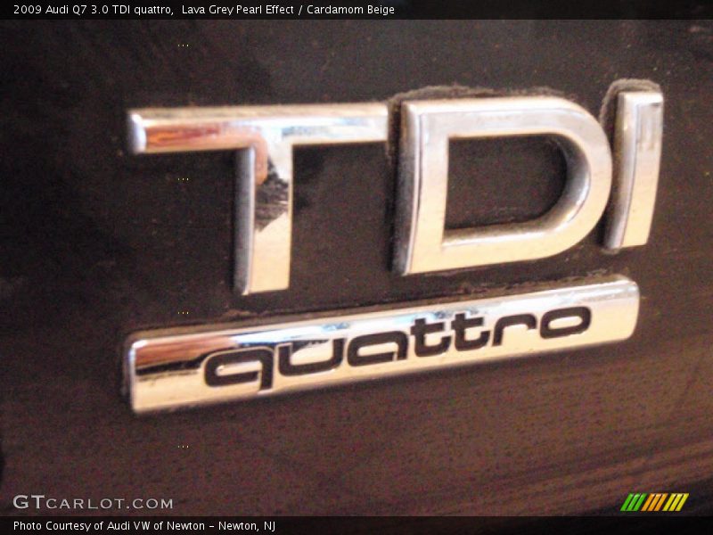 2009 Q7 3.0 TDI quattro Logo