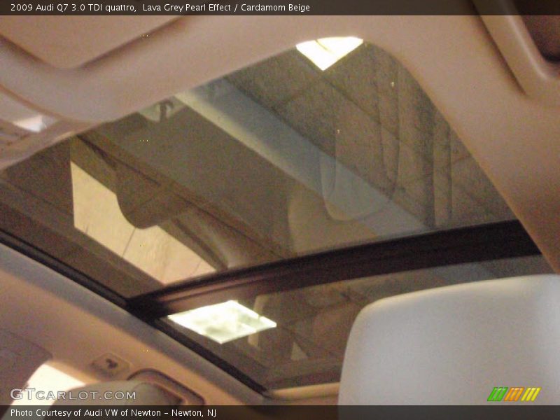 Lava Grey Pearl Effect / Cardamom Beige 2009 Audi Q7 3.0 TDI quattro