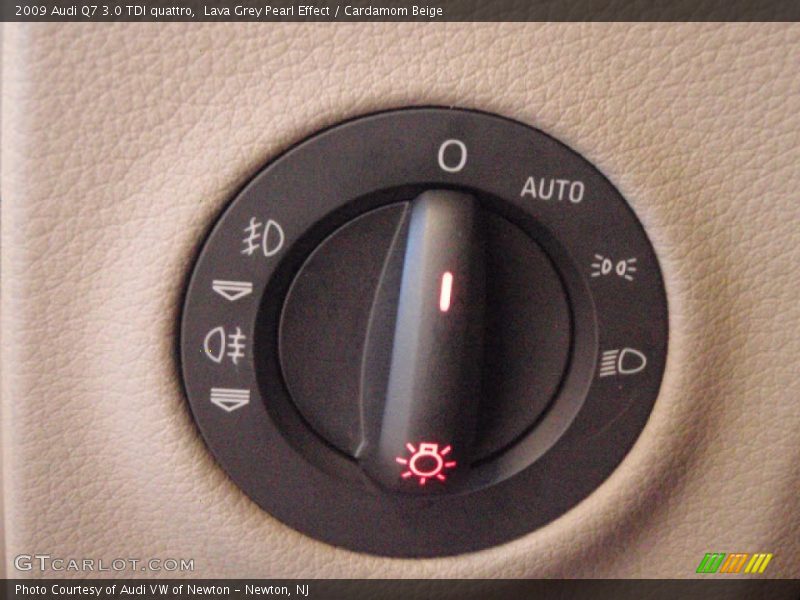 Lava Grey Pearl Effect / Cardamom Beige 2009 Audi Q7 3.0 TDI quattro