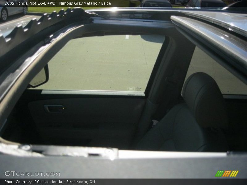 Nimbus Gray Metallic / Beige 2009 Honda Pilot EX-L 4WD