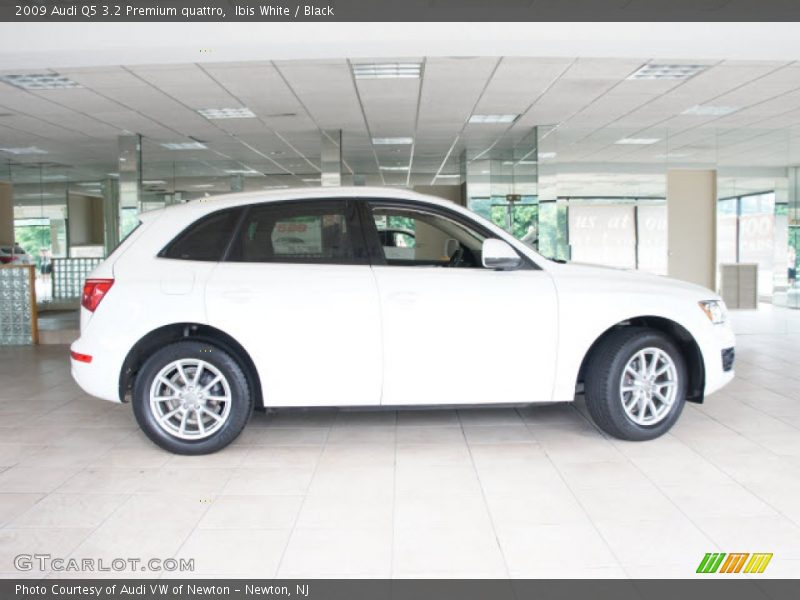 Ibis White / Black 2009 Audi Q5 3.2 Premium quattro