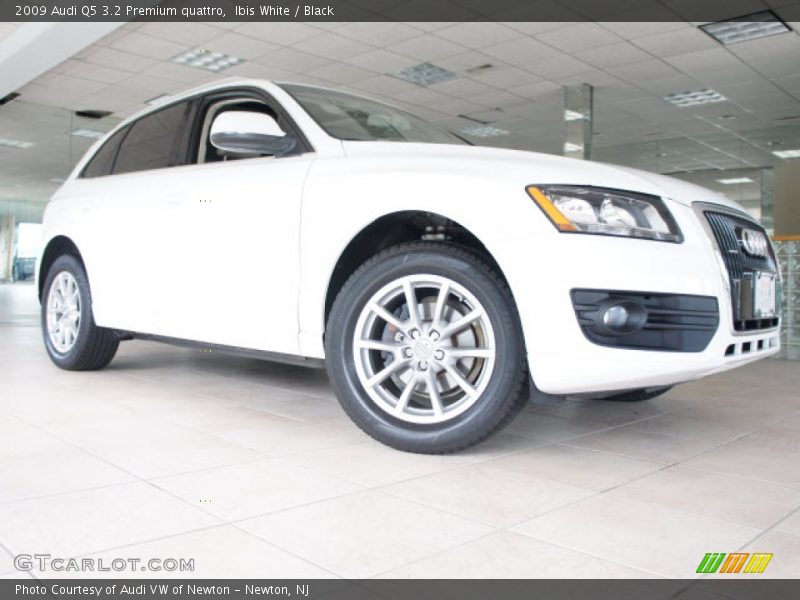 Ibis White / Black 2009 Audi Q5 3.2 Premium quattro