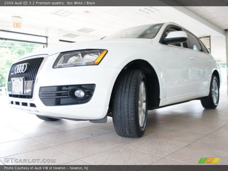 Ibis White / Black 2009 Audi Q5 3.2 Premium quattro
