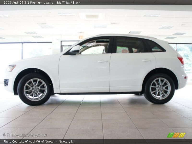 Ibis White / Black 2009 Audi Q5 3.2 Premium quattro