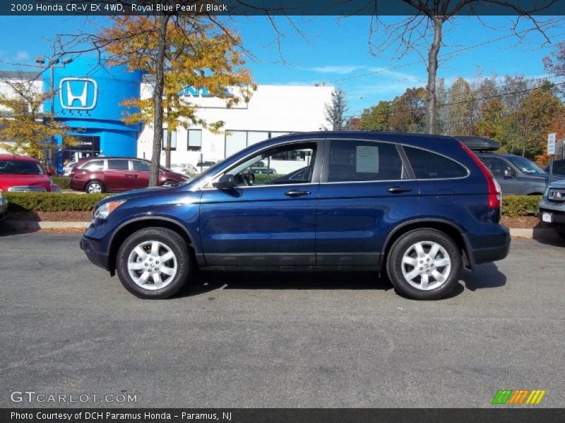 Royal Blue Pearl / Black 2009 Honda CR-V EX 4WD