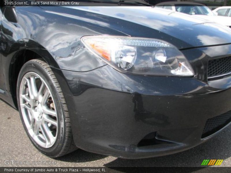 Black Sand Mica / Dark Gray 2005 Scion tC