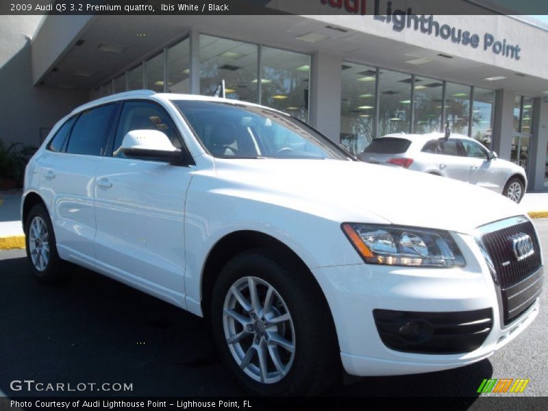 Ibis White / Black 2009 Audi Q5 3.2 Premium quattro