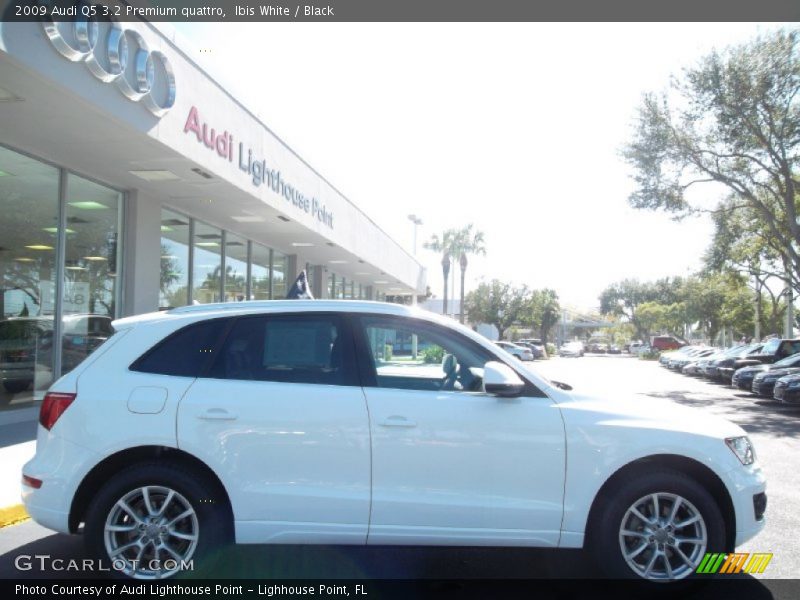 Ibis White / Black 2009 Audi Q5 3.2 Premium quattro
