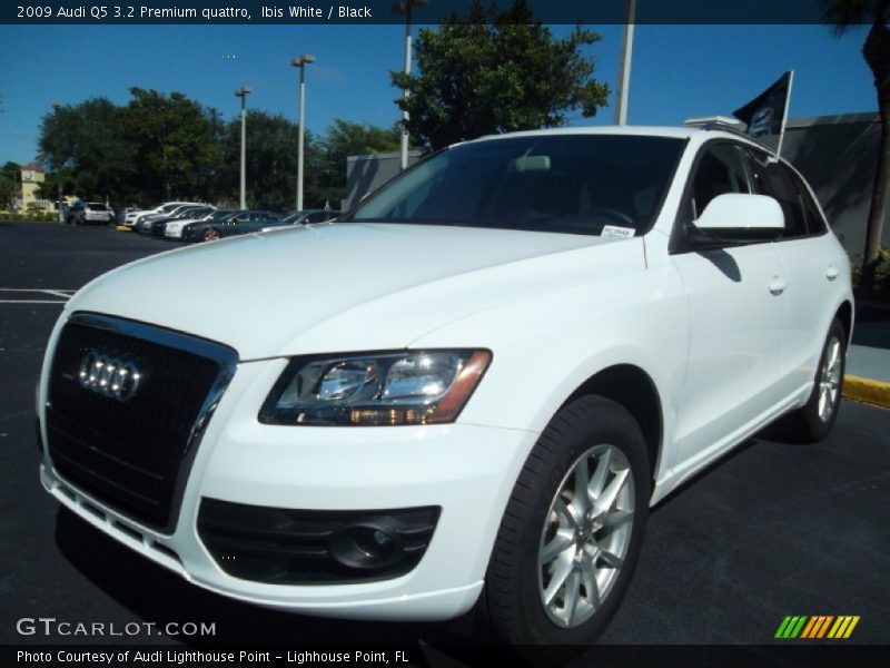Ibis White / Black 2009 Audi Q5 3.2 Premium quattro