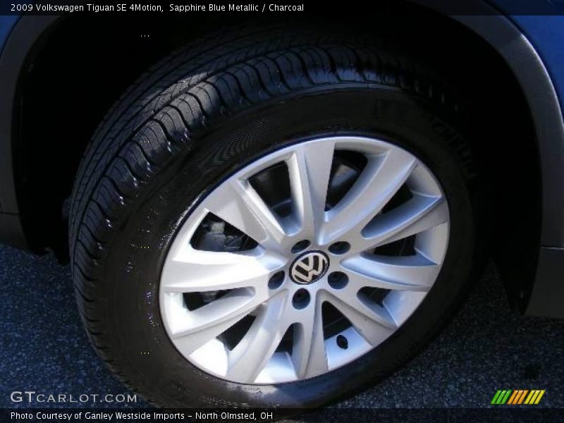 Sapphire Blue Metallic / Charcoal 2009 Volkswagen Tiguan SE 4Motion