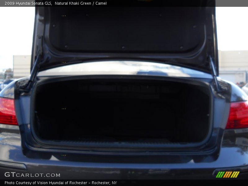 Natural Khaki Green / Camel 2009 Hyundai Sonata GLS