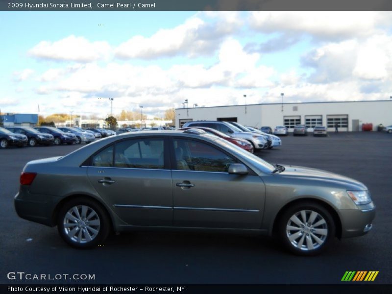 Camel Pearl / Camel 2009 Hyundai Sonata Limited