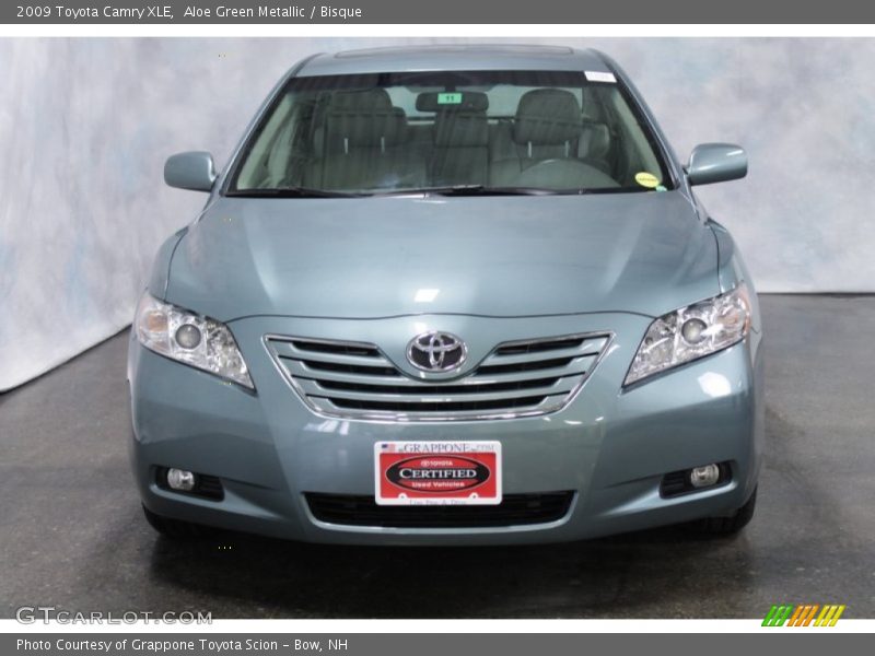 Aloe Green Metallic / Bisque 2009 Toyota Camry XLE