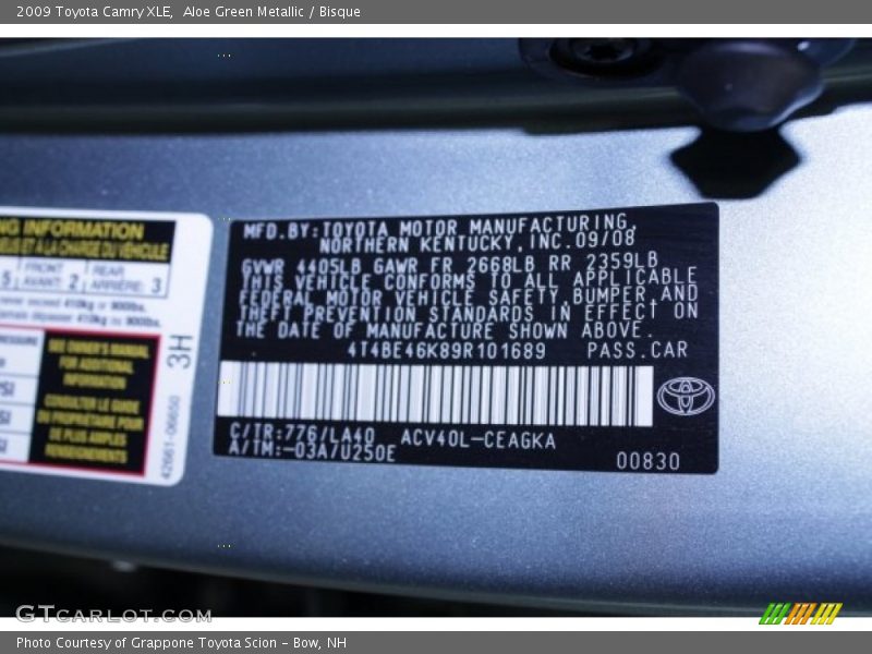 Aloe Green Metallic / Bisque 2009 Toyota Camry XLE