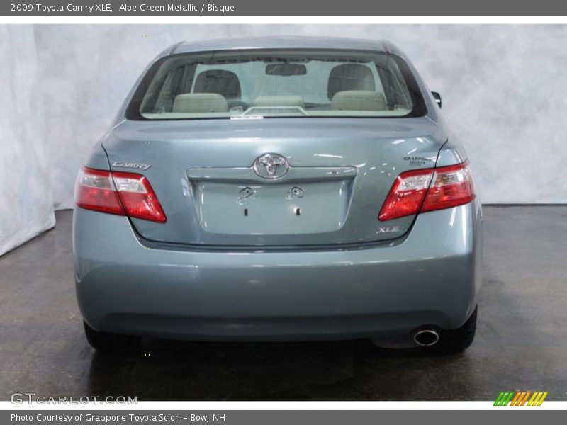 Aloe Green Metallic / Bisque 2009 Toyota Camry XLE