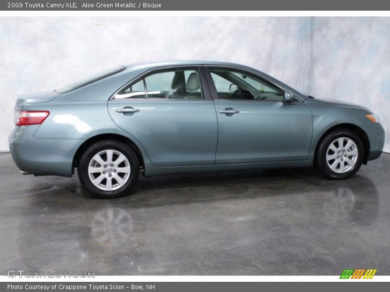Aloe Green Metallic / Bisque 2009 Toyota Camry XLE
