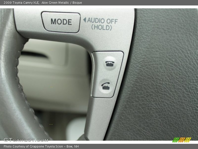 Aloe Green Metallic / Bisque 2009 Toyota Camry XLE