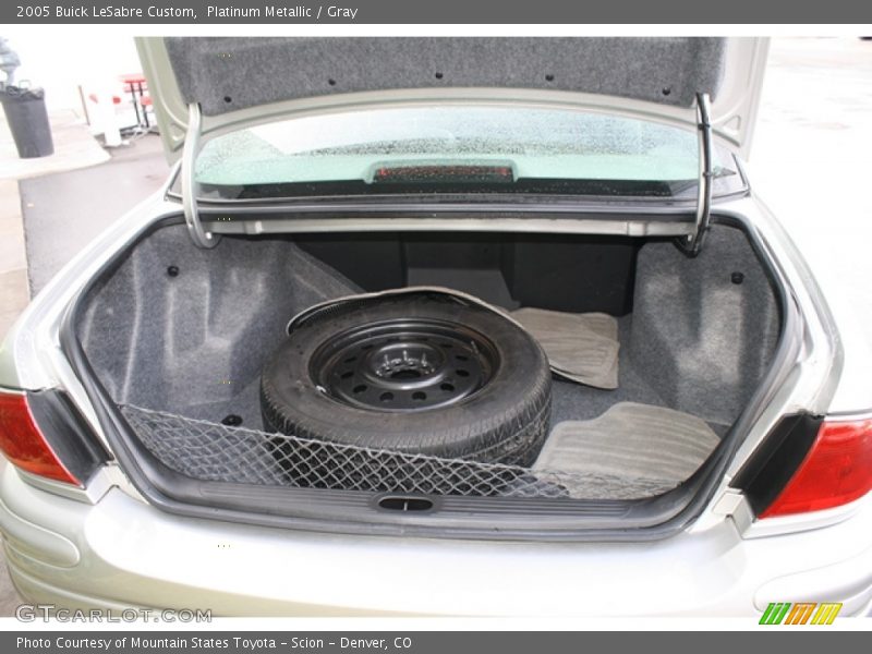 Platinum Metallic / Gray 2005 Buick LeSabre Custom
