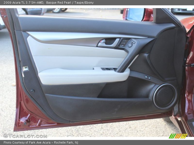 Door Panel of 2009 TL 3.7 SH-AWD