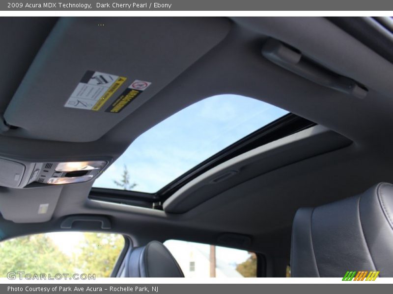 Dark Cherry Pearl / Ebony 2009 Acura MDX Technology