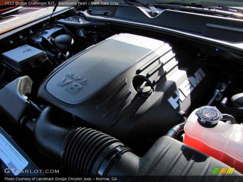 Blackberry Pearl / Dark Slate Gray 2012 Dodge Challenger R/T